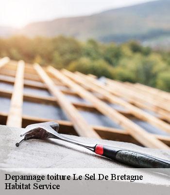 Depannage toiture
