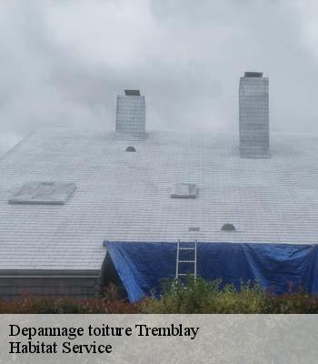 Depannage toiture