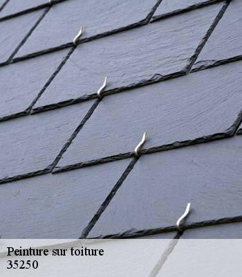 Peinture sur toiture