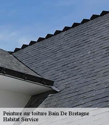 Peinture sur toiture