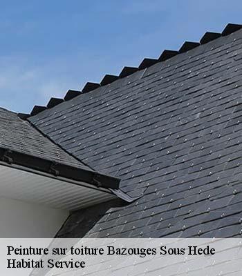Peinture sur toiture
