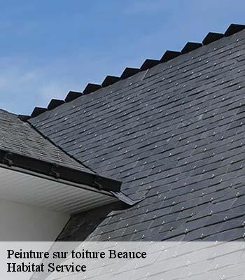 Peinture sur toiture