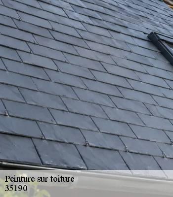 Peinture sur toiture