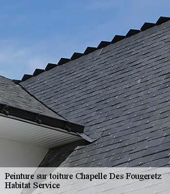 Peinture sur toiture