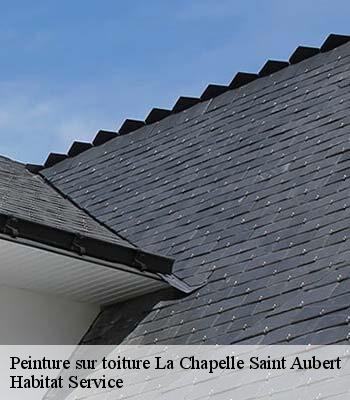Peinture sur toiture