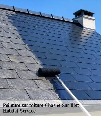 Peinture sur toiture