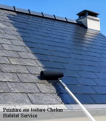 Peinture sur toiture