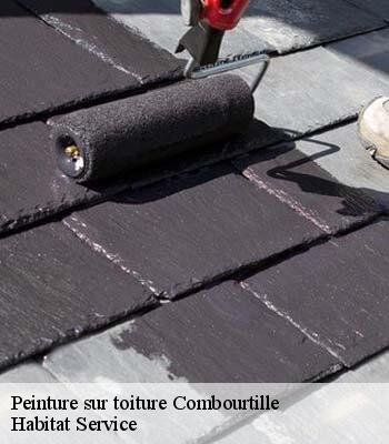 Peinture sur toiture