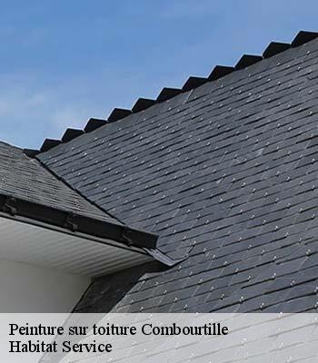 Peinture sur toiture