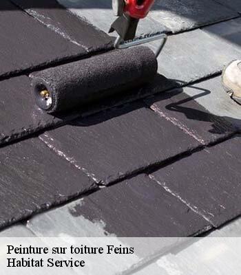 Peinture sur toiture