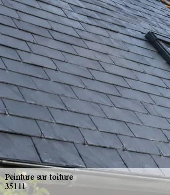 Peinture sur toiture