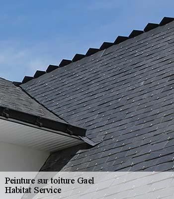 Peinture sur toiture