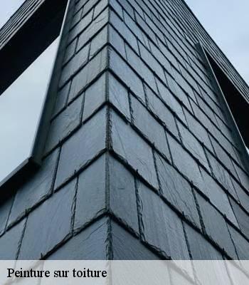 Peinture sur toiture