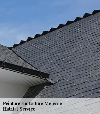 Peinture sur toiture
