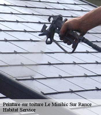 Peinture sur toiture