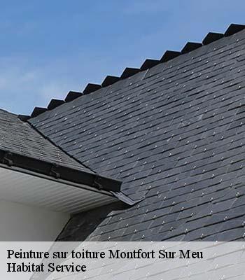 Peinture sur toiture