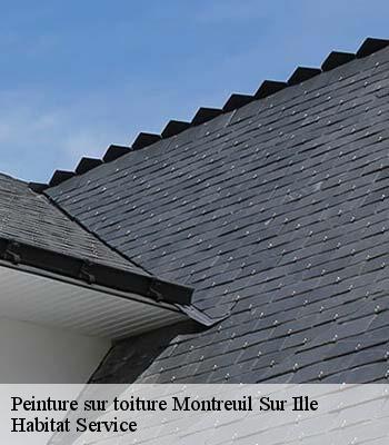 Peinture sur toiture