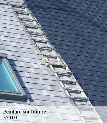 Peinture sur toiture
