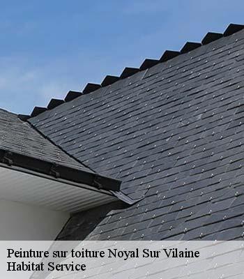 Peinture sur toiture