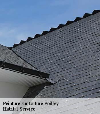 Peinture sur toiture