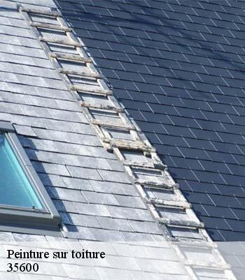 Peinture sur toiture