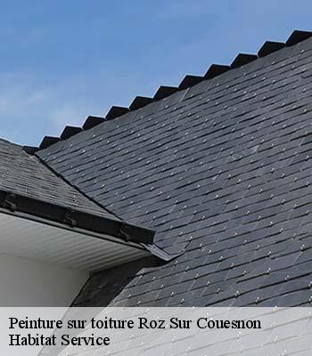 Peinture sur toiture