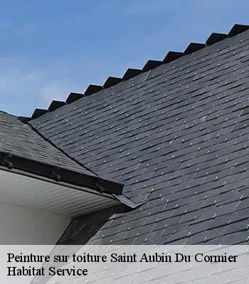 Peinture sur toiture
