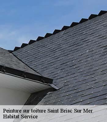 Peinture sur toiture