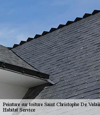 Peinture sur toiture