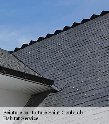 Peinture sur toiture