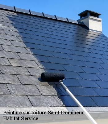 Peinture sur toiture