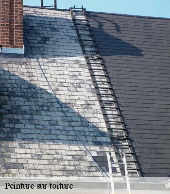 Peinture sur toiture