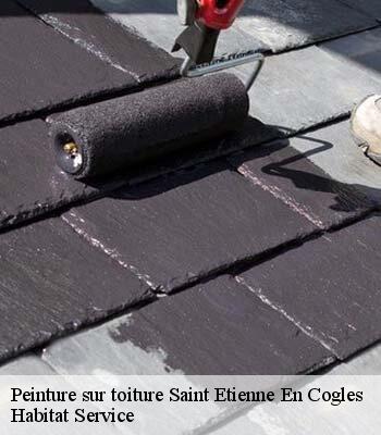 Peinture sur toiture