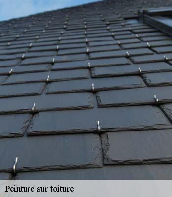 Peinture sur toiture