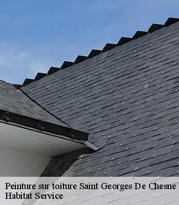 Peinture sur toiture