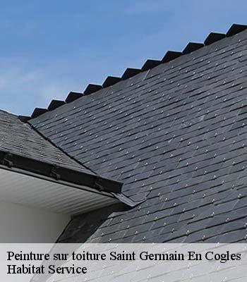 Peinture sur toiture