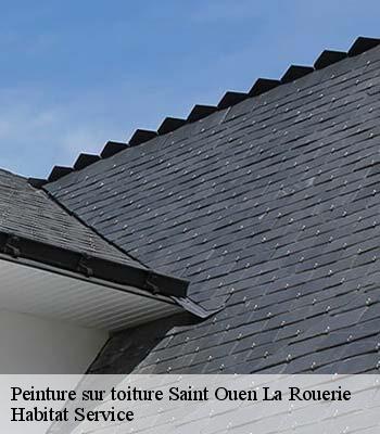 Peinture sur toiture