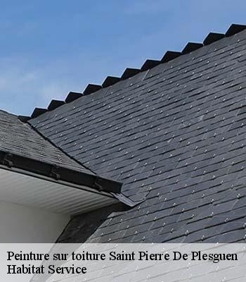 Peinture sur toiture