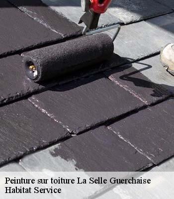 Peinture sur toiture