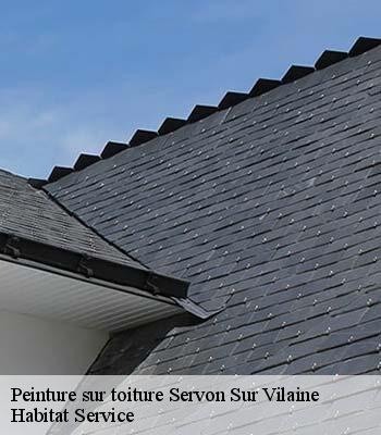 Peinture sur toiture