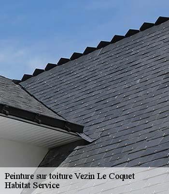 Peinture sur toiture