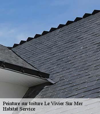 Peinture sur toiture