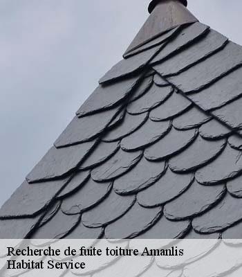 Recherche de fuite toiture