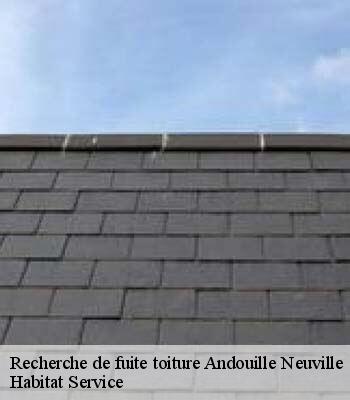 Recherche de fuite toiture