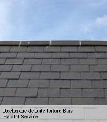 Recherche de fuite toiture
