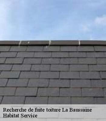 Recherche de fuite toiture