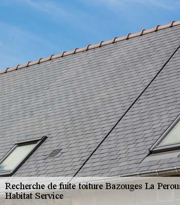 Recherche de fuite toiture