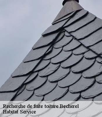 Recherche de fuite toiture