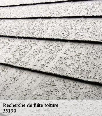 Recherche de fuite toiture