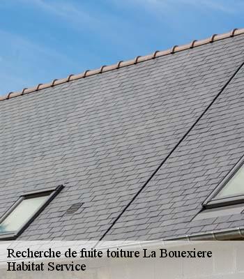 Recherche de fuite toiture